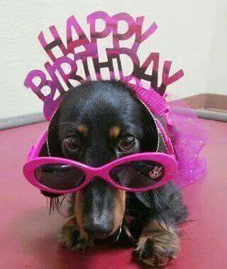 Resultado de imagen para dachshunds happy birthday