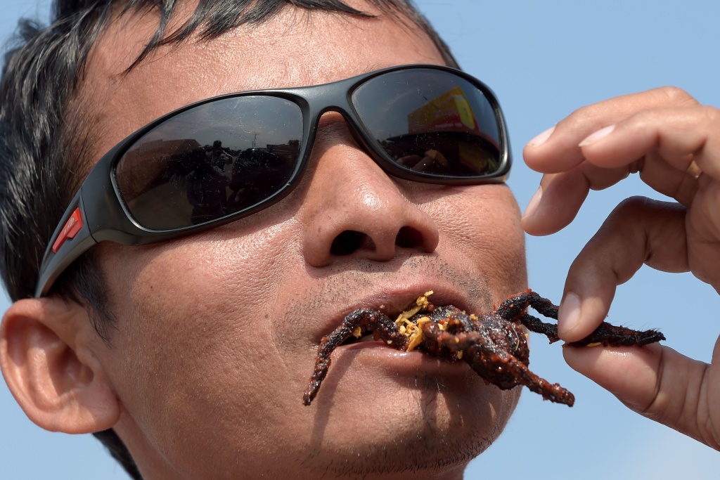 A Cambodian man eats a fried tarantula at Skun town in Kampong Cham province on March 14, 2018. These garlic-fried spiders are a coveted treat in Cambodia, where the only fear is that they may soon vanish due to deforestation and unchecked hunting.